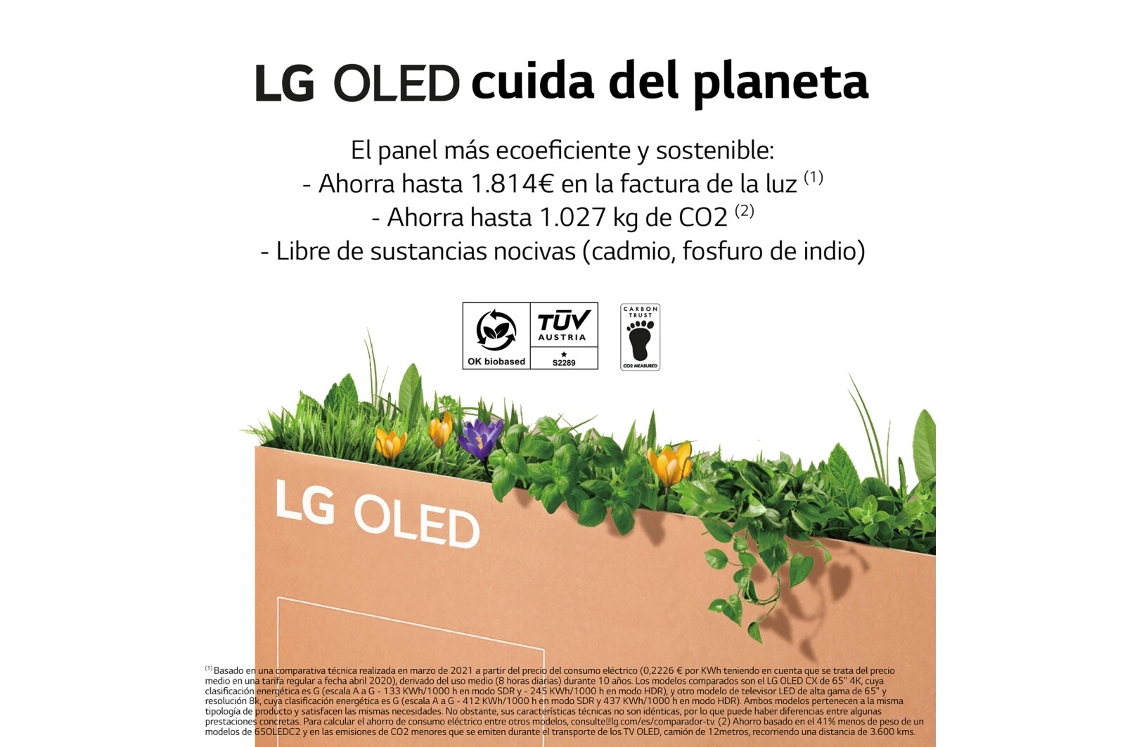 LG Televisor LG  4K OLED evo Gallery Edition, Procesador Inteligente de Máxima Potencia 4K a9 Gen 5 con IA, compatible con el 100% de formatos HDR, HDR Dolby Vision, Dolby Atmos, Smart TV webOS22, el mejor TV para Gaming. Ideal para colgar en la pared, OLED55G23LA