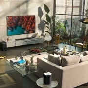 LG Televisor LG  4K OLED evo Gallery Edition, Procesador Inteligente de Máxima Potencia 4K a9 Gen 5 con IA, compatible con el 100% de formatos HDR, HDR Dolby Vision, Dolby Atmos, Smart TV webOS22, el mejor TV para Gaming. Ideal para colgar en la pared, OLED55G23LA