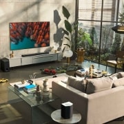 LG 55 pulgadas Smart TV LG OLED evo G2 4K 2022, OLED55G29LA