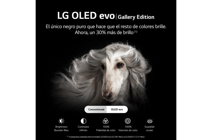 LG Televisor LG 4K OLED evo Gallery Edition, Procesador Inteligente de Máxima Potencia 4K a9 Gen 5 con IA, compatible con el 100% de formatos HDR, HDR Dolby Vision, Dolby Atmos, Smart TV webOS22, el mejor TV para Gaming. Ideal para colgar en la pared, OLED65G26LA