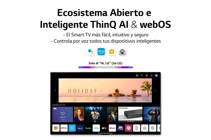 LG Televisor LG 4K OLED evo Gallery Edition, Procesador Inteligente de Máxima Potencia 4K a9 Gen 5 con IA, compatible con el 100% de formatos HDR, HDR Dolby Vision, Dolby Atmos, Smart TV webOS22, el mejor TV para Gaming. Ideal para colgar en la pared, OLED65G26LA