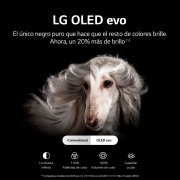 LG Televisor LG 4K OLED evo, Procesador Inteligente de Máxima Potencia 4K a9 Gen 5 con IA, compatible con el 100% de formatos HDR, HDR Dolby Vision y Dolby Atmos, Smart TV webOS22, el mejor TV para Gaming. , OLED77C24LA