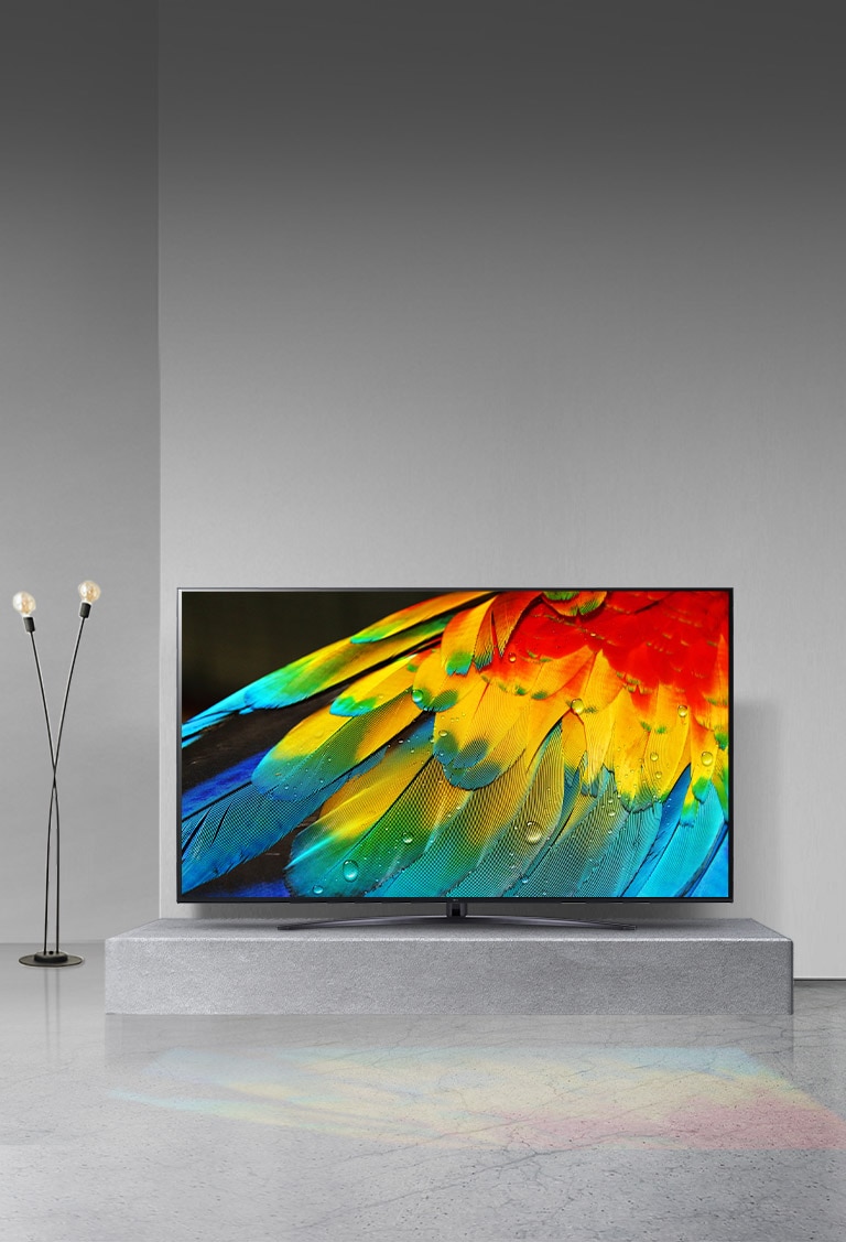 Imagen de un TV LG NanoCell en un salón y en la pantalla está la imagen del plumaje de un loro con colores más vivos gracias al procesador inteligente α5 Gen5.