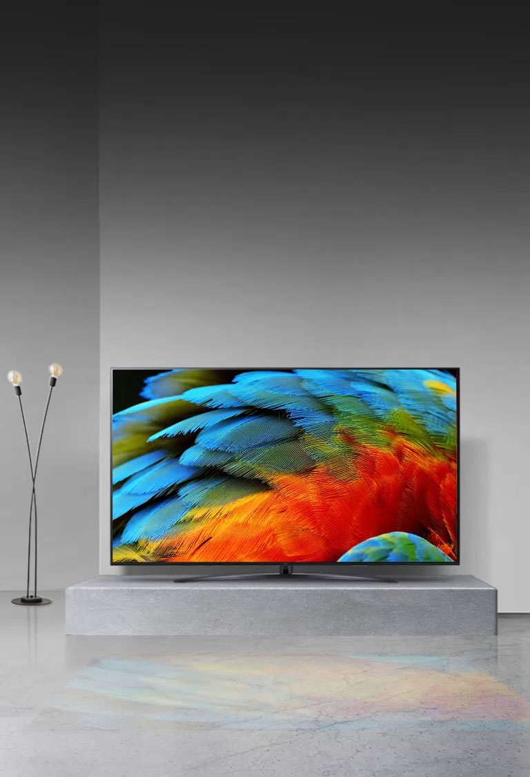 Imagen de un TV LG NanoCell en un salón y en la pantalla está la imagen del plumaje de un loro con colores más vivos gracias al procesador inteligente α7 Gen5.