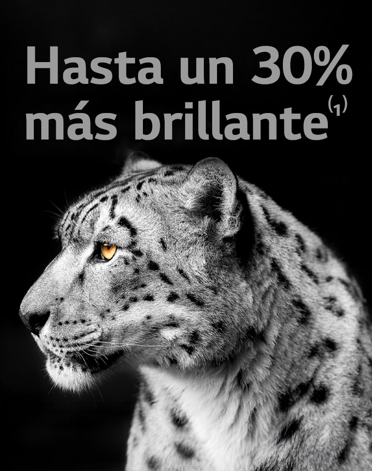 Un leopardo blanco mostrando su cara lateral en el lado izquierdo de la imagen. Las palabras "Hasta un 30% más brillante" aparecen a la izquierda.