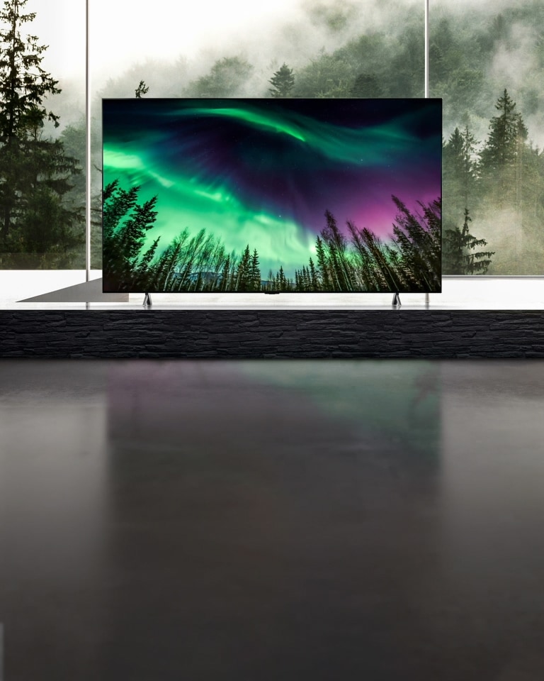 La cámara se mueve desde un primer plano de la parte superior del televisor hasta un primer plano de la parte delantera del televisor. La pantalla del televisor muestra una aurora verde. La cámara se acerca para mostrar la sala de estar. La sala de estar es gris y se ve un bosque a través de las ventanas.