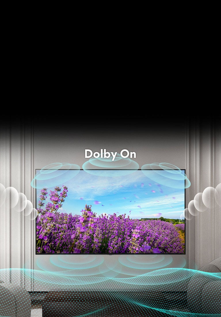 La pantalla del QNED TV muestra unas flores rosas de colza en un campo de verano y en el centro del texto se lee «Dolby OFF». La imagen de dentro de la pantalla se vuelve más brillante y el texto cambia a Dolby ON.