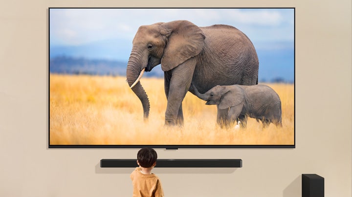 Un niño está de pie delante de un gran televisor que muestra una imagen de un elefante adulto y un elefante bebé caminando por un campo cubierto de hierba.