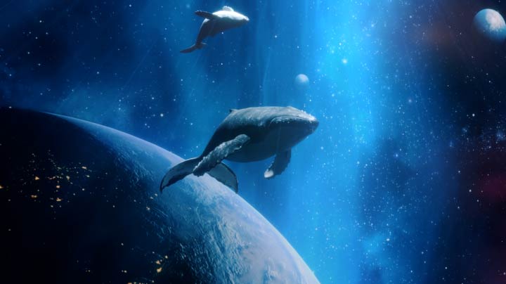 Dos ballenas nadan en una galaxia azulada entre planetas. El vídeo se aleja lentamente para mostrar un televisor LG UHD en un acogedor salón.