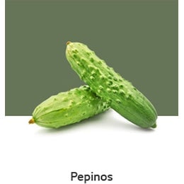 REF-NatureFRESH-Vplus-03-UsefulTips-04-5-Cucumbers