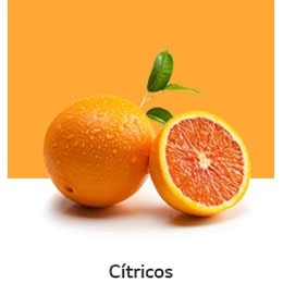 REF-NatureFRESH-Vplus-03-UsefulTips-04-3-Citrus-Fruits