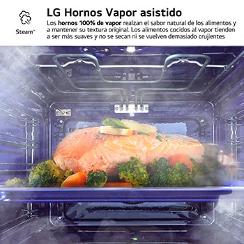 LG Horno Instaview Vapor 100% 76L A++ con sistema de limpieza Blue EasyClean, cristal negro mate, WS9D7672WM