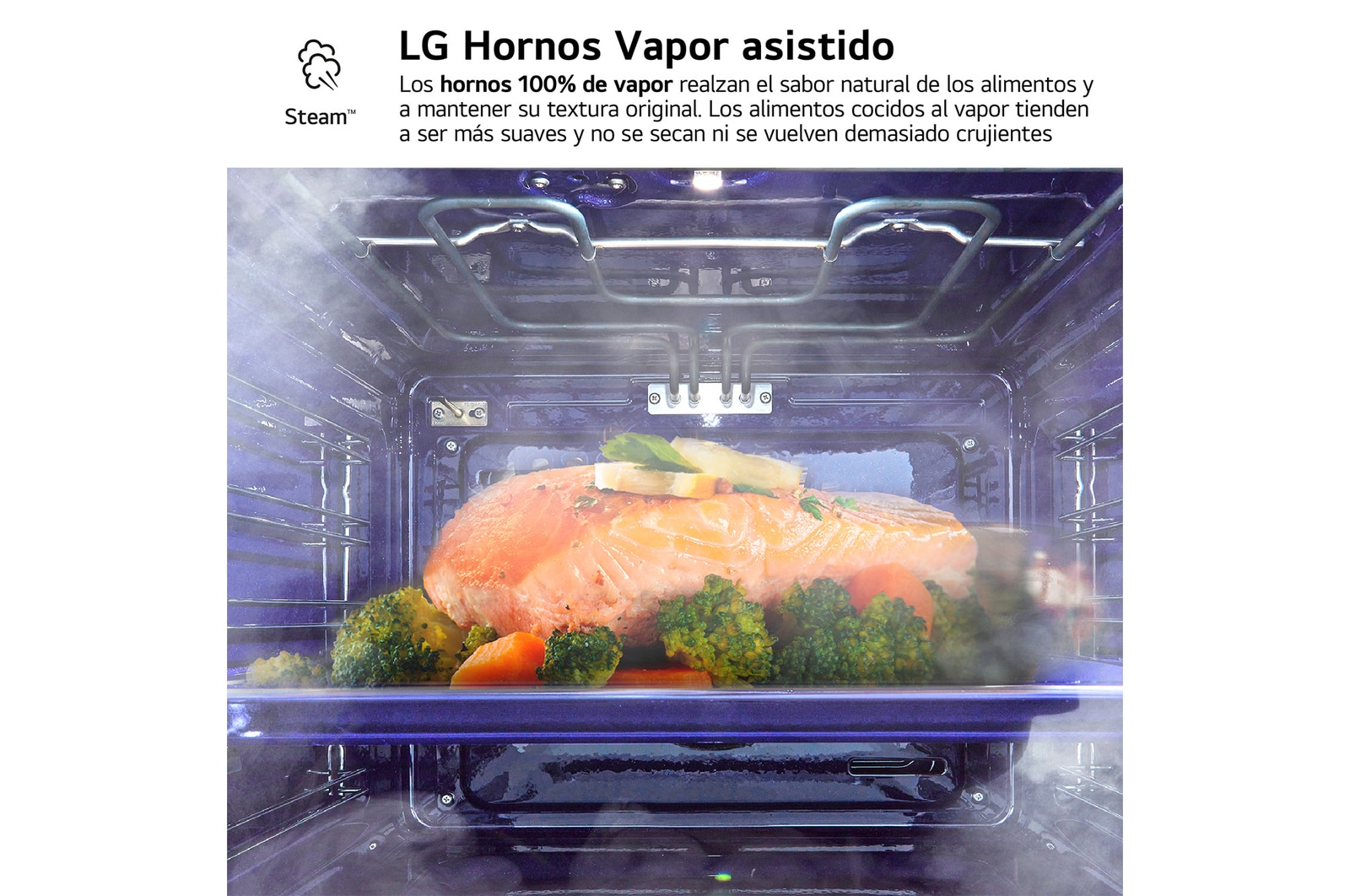 LG Horno Instaview Vapor 100% 76L A++ con sistema de limpieza Blue EasyClean, cristal negro mate, WS9D7672WM