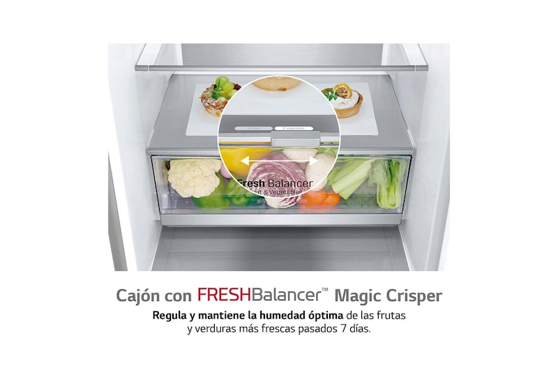 LG Frigorífico Combi 2 metros , Clasificación B, capacidad de 419L, Acero premium Antihuellas, serie Centum, GBB92STABP