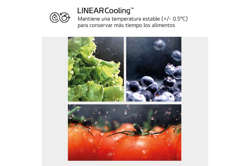 LG Frigorífico Combi Door Cooling+, 2,03m, Clasificación C, capacidad de 419l, blanco. Serie 300, GBV3200CSW