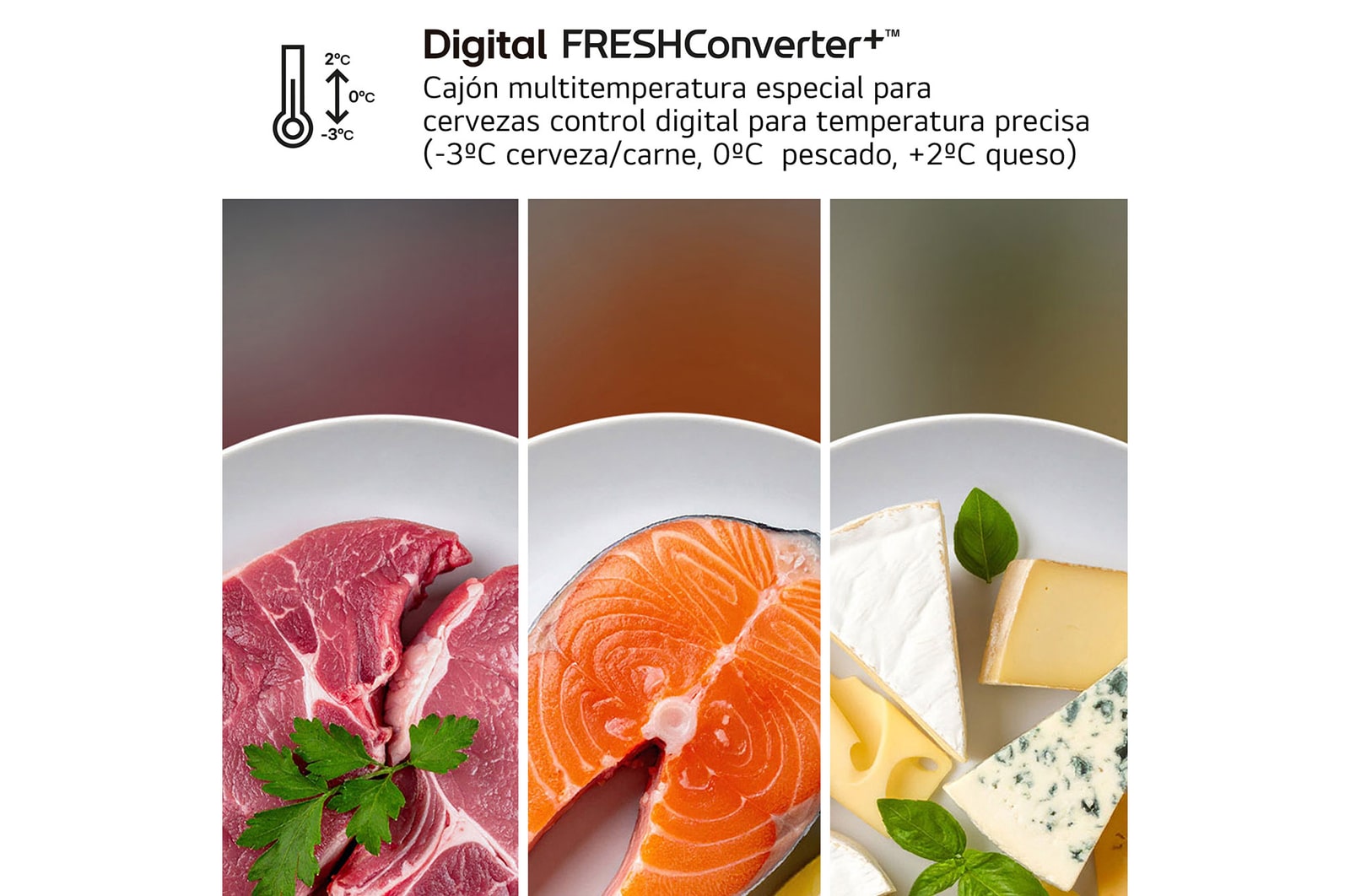 Digital freshConverter+TM