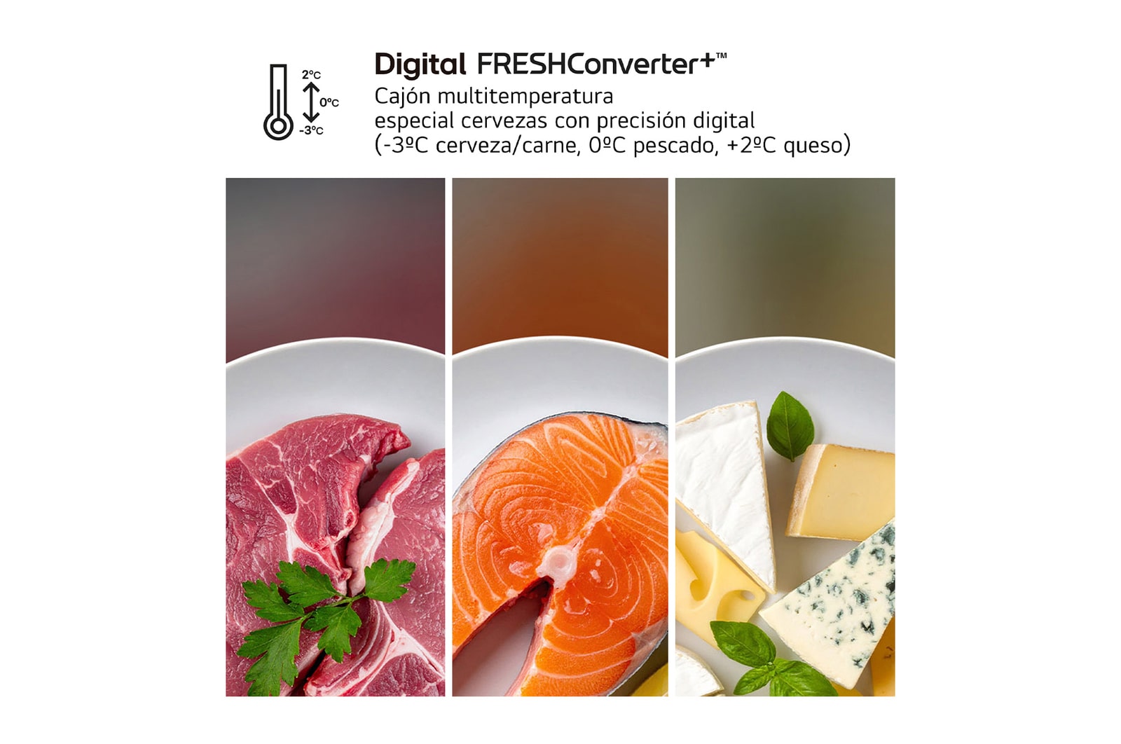 Digital FRESHConverter+™