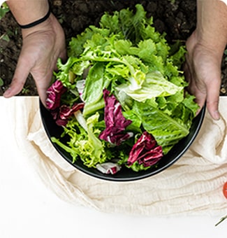 Manos sosteniendo un cuenco lleno de verduras frescas sobre una mesa.