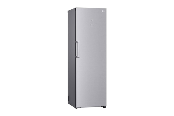 LG Frigorífico 1 puerta Door Cooling, Total No frost, Clasificación D, 413L, Acero inoxidable texturizado, GLM71MBCSF