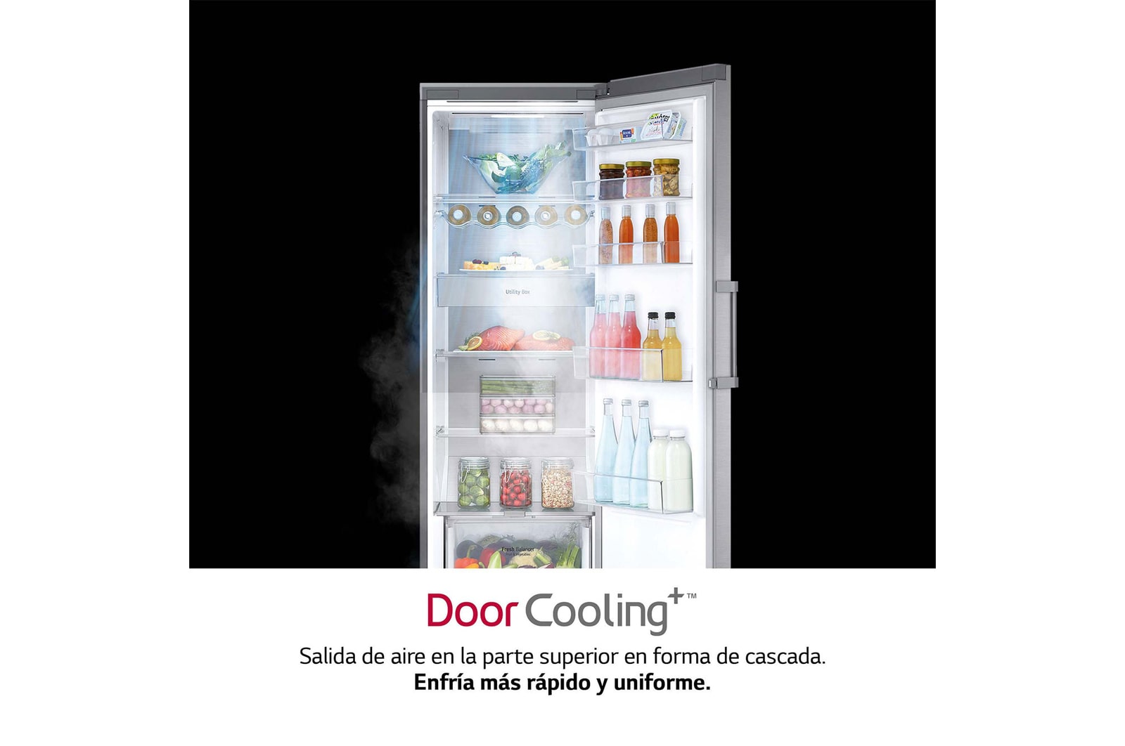 LG Frigorífico 1 puerta Door Cooling, Total No frost, Clasificación D, 413L, Acero inoxidable texturizado, GLM71MBCSF