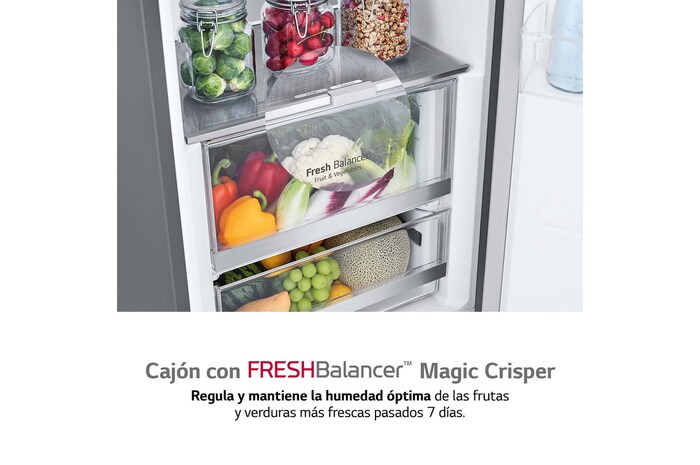 LG Frigorífico 1 puerta Door Cooling, Total No frost, Clasificación D, 413L, Acero inoxidable texturizado, GLM71MBCSF