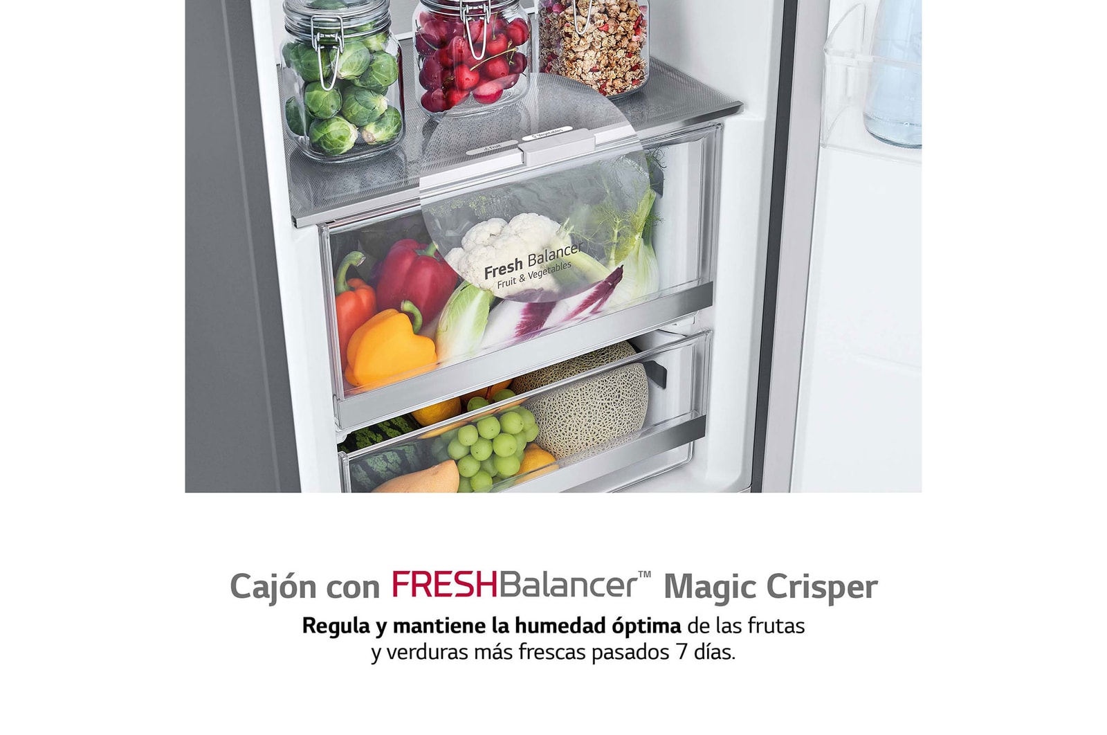 LG Frigorífico 1 puerta Door Cooling, Total No frost, Clasificación D, 413L, Acero inoxidable texturizado, GLM71MBCSF