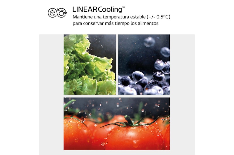 LG Outlet Frigorífico Clasificación C, 413L, Acero Negro-grisáceo mate antihuellas, GLM71MCCSX.OUTLET