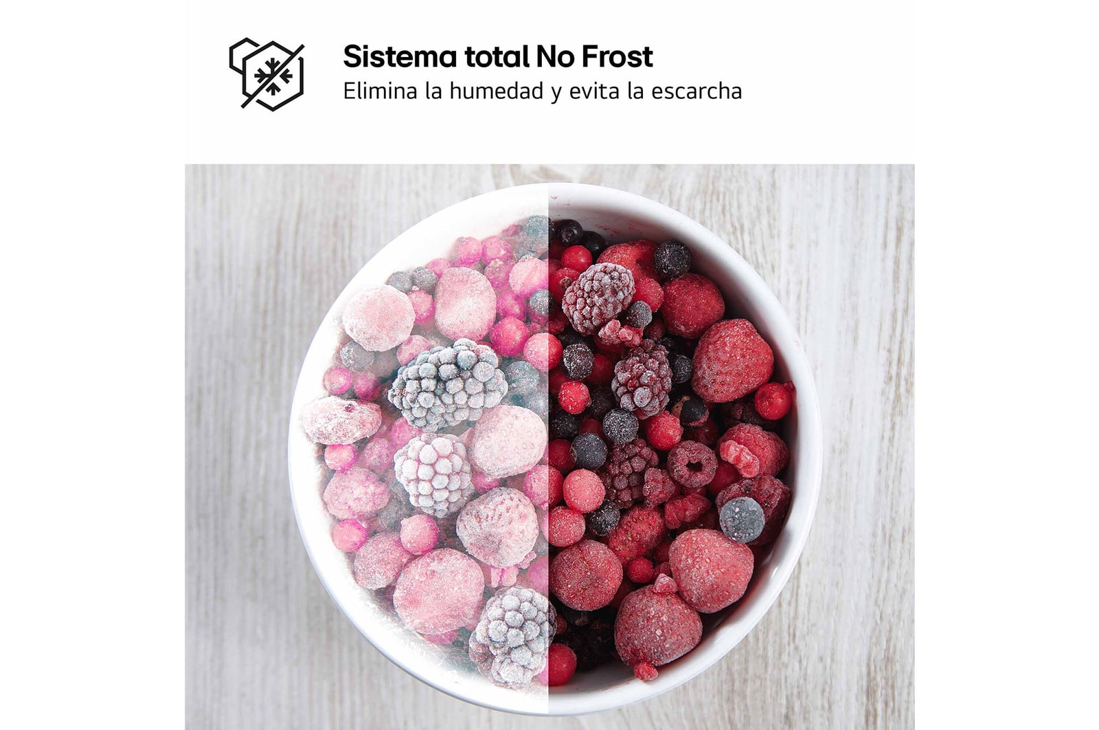 LG Frigorifico de 2 Puertas, 287L, 1,68 m, Total No Frost - Blanco, GTBV20SWGKD