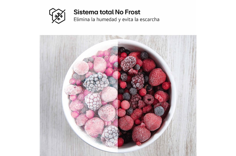 LG Frigorifico de 2 Puertas, 287L, 1,68 m, Total No Frost - Blanco, GTBV20SWGKD