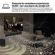 LG Outlet 77 pulgadas Smart TV LG OLED evo AI G4 4K 2024, OLED77G45LW.OUTLET