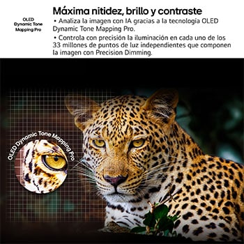 Una hoguera nocturna en plena naturaleza. A lo lejos, se ve un bosque y un lago. Un cielo nocturno lleno de estrellas. Toda la escena está dividida por la mitad. Un lado es más oscuro y apagado. El otro es considerablemente más brillante, mostrando el impresionante brillo de Brightness Booster.