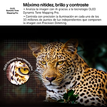 En la pantalla de un televisión se muestran fuegos artificiales deslumbrantes y vibrantes. Esto demuestra el 100 % de fidelidad de color que presenta colores precisos incluso con la luz del sol.  El logo de la certificación también es visible: la tecnología Perfect Color ofrece niveles de consistencia de color superiores al 99% de hasta 500 lux. A su lado también está la certificaciones independiente de Intertek.