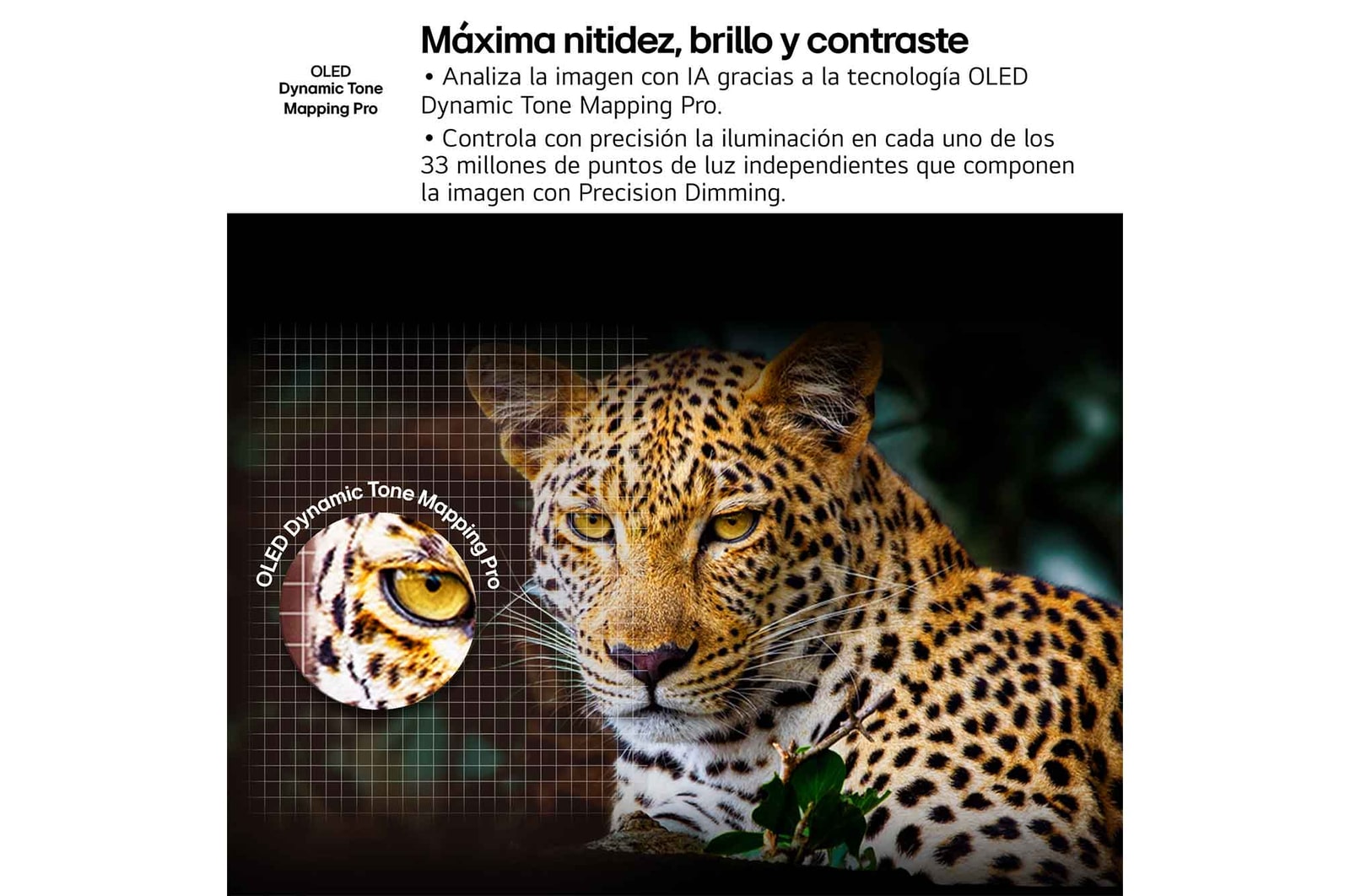 Un cohete espacial despega del suelo. La escena se divide en el medio, la mitad inferior es más oscura y apagada. La otra mitad muestra cómo la estela del cohete es notablemente brillante, demostrando lo brillantes que pueden ser las imágenes en una pantalla LG OLED TV con la estructura emisora de luz y la arquitectura de control de iluminación de Brightness Booster Max.