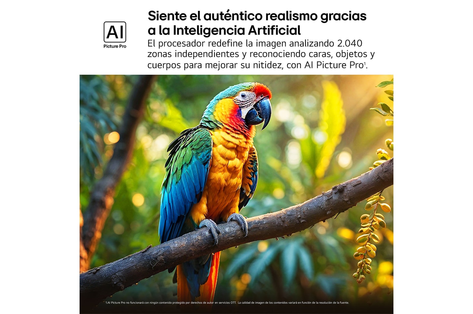 Salpicaduras de pintura de diversos colores brotan del suelo. Certificación 100% Color Volume a DCI-P3 por Intertrek. El título hace referencia a la nueva y exclusiva tecnología de vanguardia para obtener la amplia gama de colores de LG que te permite ver un color vívido en la pantalla.