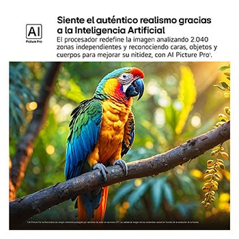 Salpicaduras de pintura de diversos colores brotan del suelo. Certificación 100% Color Volume a DCI-P3 por Intertrek. El título hace referencia a la nueva y exclusiva tecnología de vanguardia para obtener la amplia gama de colores de LG que te permite ver un color vívido en la pantalla.
