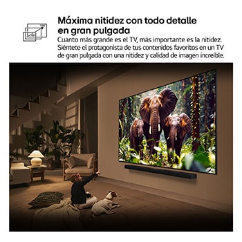Una niña y un perro están sentados frente a un televisor LG QNED TV montado en una pared con una barra de sonido LG Soundbar. En pantalla muestra a tres elefantes caminando hacia adelante. El título hace referencia a cómo cada acción es más emocionante en una pantalla gigante.
