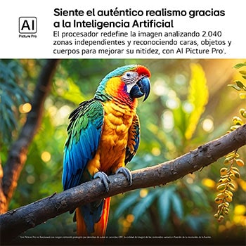 Salpicaduras de pintura de diversos colores brotan del suelo. Certificación 100% Color Volume a DCI-P3 por Intertrek. El título hace referencia a la nueva y exclusiva tecnología de vanguardia para obtener la amplia gama de colores de LG que te permite ver un color vívido en la pantalla.