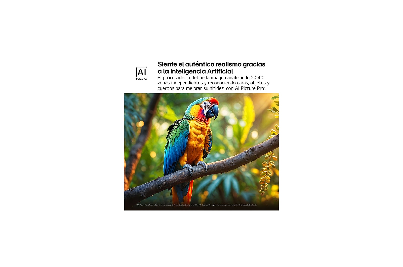 Salpicaduras de pintura de diversos colores brotan del suelo. Certificación 100% Color Volume a DCI-P3 por Intertrek. El título hace referencia a la nueva y exclusiva tecnología de vanguardia para obtener la amplia gama de colores de LG que te permite ver un color vívido en la pantalla.