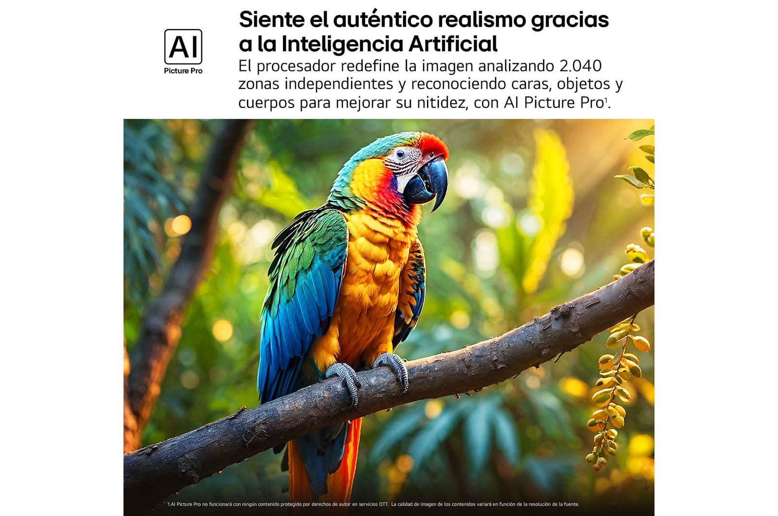 Salpicaduras de pintura de diversos colores brotan del suelo. Certificación 100% Color Volume a DCI-P3 por Intertrek. El título hace referencia a la nueva y exclusiva tecnología de vanguardia para obtener la amplia gama de colores de LG que te permite ver un color vívido en la pantalla.