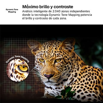 Before and after comparison of how LG 4K Super Upscaling improves image quality. Two panels showing the same image of a colorful bird sitting on a branch in a forest, panel on the right is faded out. The title talks about how 4K Super Upscaling enhances resolution, brightness and clarity.