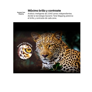 Before and after comparison of how LG 4K Super Upscaling improves image quality. Two panels showing the same image of a colorful bird sitting on a branch in a forest, panel on the right is faded out. The title talks about how 4K Super Upscaling enhances resolution, brightness and clarity.