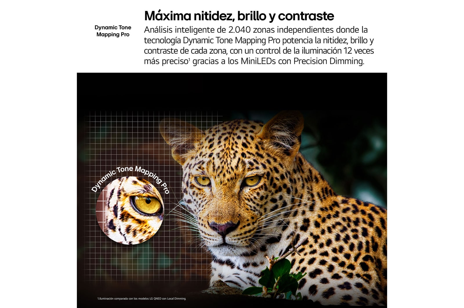 A family sits on a couch facing a LG QNED TV sitting above a TV stand with a little girl pointing to a screen depicting two dolphins. The title talks about how you can enjoy high resolution on a massive screen.