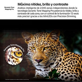 A family sits on a couch facing a LG QNED TV sitting above a TV stand with a little girl pointing to a screen depicting two dolphins. The title talks about how you can enjoy high resolution on a massive screen.