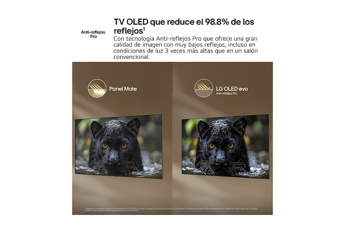 OLED55C6ELB