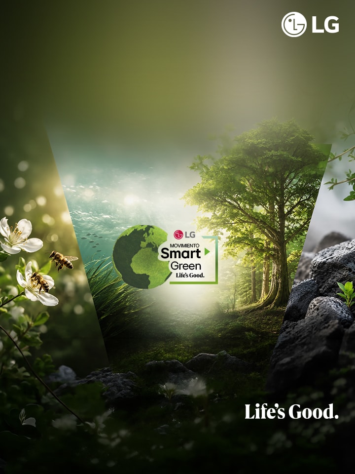 monivimento Smart Green