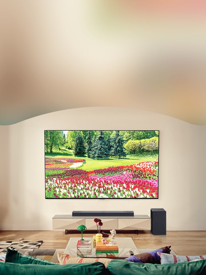 TV LG OLED et barre de son au milieu d'un salon