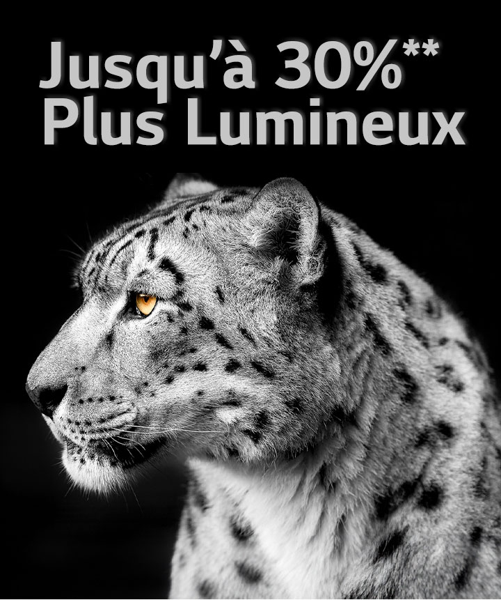 Un léopard blanc montre son profil sur le côté gauche de l’image. Les mots « jusqu'à 30 %**** plus lumineus » apparaissent sur la gauche.