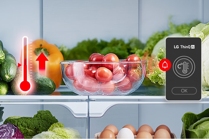 LG refrigerator shelf with vegetables and eggs showing red thermometer icon and LG ThinQ alert