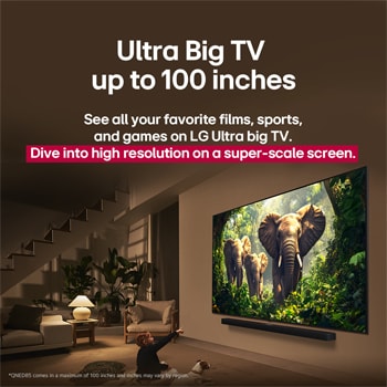 A girl and a dog are seated in front of a LG QNED TV mounted on a wall depicting three elephants walking outwards above a LG Soundbar. The short text describes how every action is more thrilling on a massive screen.