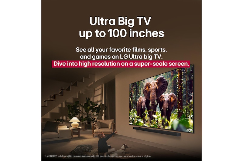 Une fille et un chien sont assis devant une LG QNED TV installée sur un mur représentant trois éléphants marchant vers l’extérieur au-dessus d’une LG Soundbar. Le titre évoque la façon dont chaque scène d’action est plus palpitante sur un très grand écran.